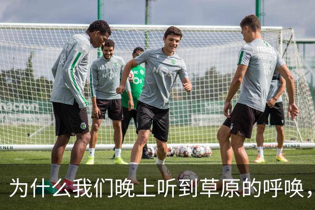 为什么我们晚上听到草原的呼唤，却习惯了短暂的睡眠？